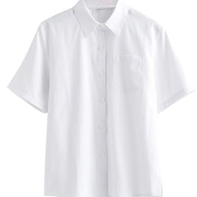 Camisa Blanca Unisex Con Cuello